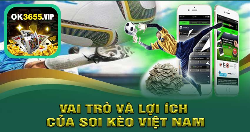 Vai Trò và Lợi Ích của Soi Kèo Việt Nam