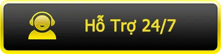 HỖ TRỢ cskH