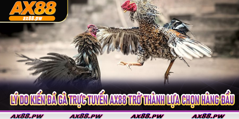 Lý do kiến Đá Gà Trực Tuyến Ax88 trở thành lựa chọn hàng đầu
