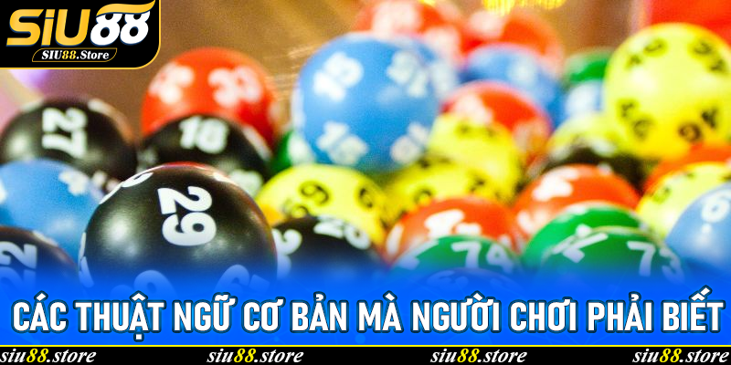 Các thuật ngữ cơ bản mà người chơi phải biết