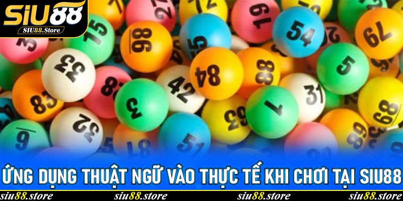 Ứng dụng thuật ngữ vào thực tế khi chơi tại Siu88